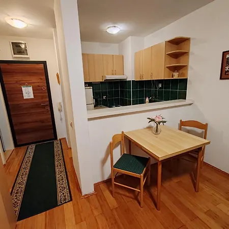 Apartment Apartman Green Novi Sad